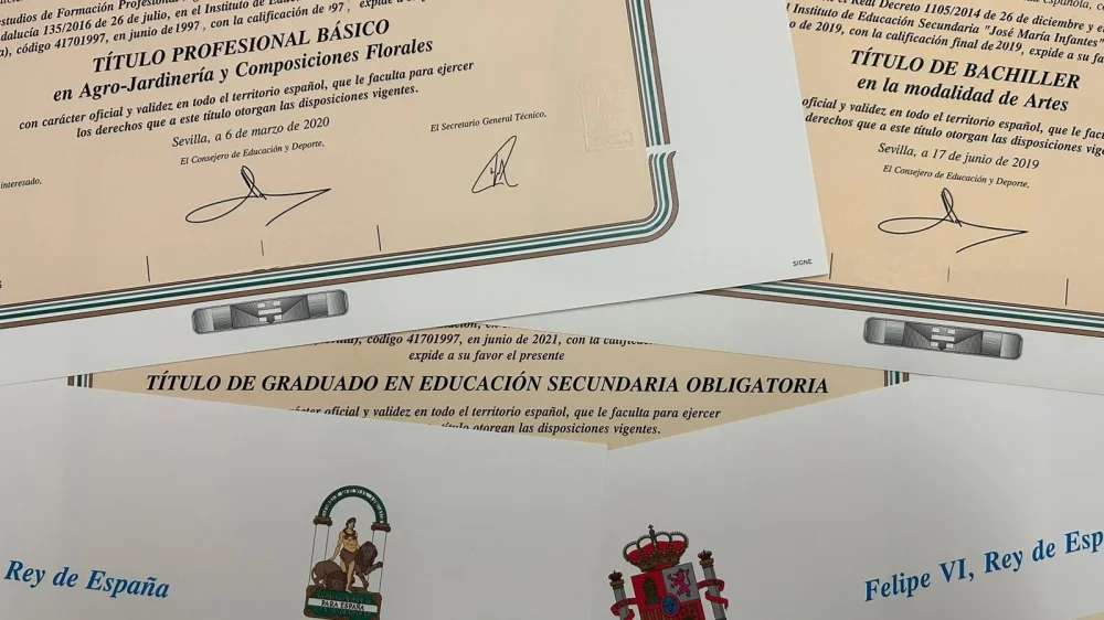 Cómo comprobar la validez de tu título de Bachillerato: guía práctica ...