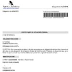 Certificado censal: qué es y su obtención fácil
