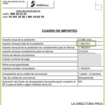 Ingreso mínimo vital: calcula tu posible ayuda con nuestros certificados