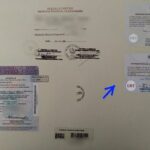 Todo lo que necesitas para tu certificado de bachillerato en Perú