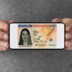 ¿Qué hacer si no llevas el DNI? Alternativas útiles