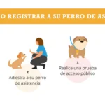 Servicios certificados especializados: actividades incluidas y beneficios
